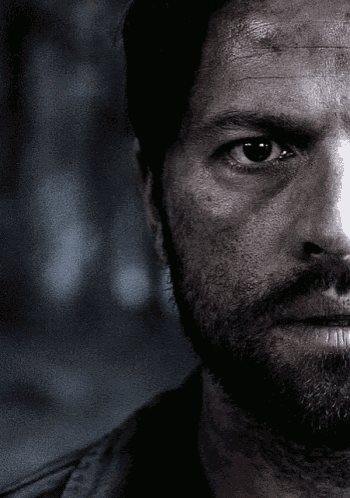 a close up of a man 's face with a beard looking at the camera