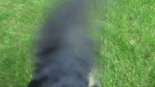 black smoke is coming out of a hose on a grassy field