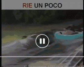 a screenshot of a video that says rie un poco on it