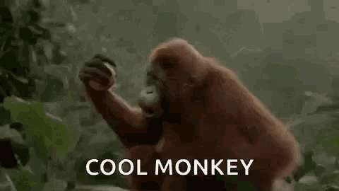 a cool monkey is standing in the jungle holding a bottle of beer .