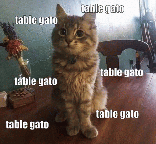 Gato Cat GIF - Gato Cat Table GIFs
