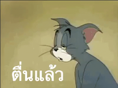 ตื่นแล้ว GIF - Tom And Jerry Im Up Woke Up GIFs