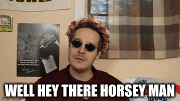 a man wearing sunglasses and a flower crown with the caption well hey there horsey man