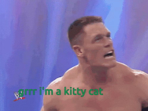 Jonh Cena Kitty Cat GIF - Jonh Cena Kitty Cat Hands Up GIFs