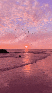 a flock of birds flying in the shape of a heart over the ocean at sunset
