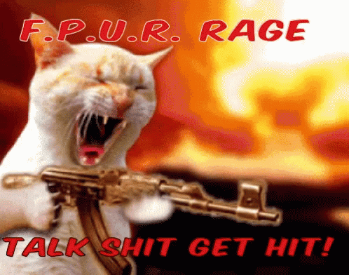 Cat Rage GIF - Cat Rage Talkshit GIFs