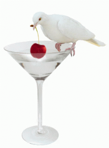 You Are All That And A Cherry On Top Cheers GIF - You Are All That And A Cherry On Top Cheers Happy Martini Day GIFs