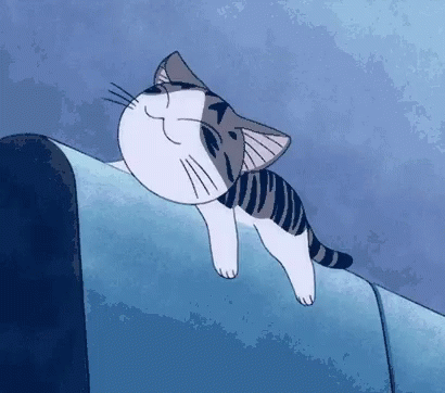 Chi Cat GIF - Chi Cat Slide GIFs