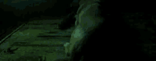 a person is standing in a dark room with a cat in the background .