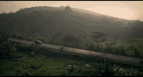 a car is driving down a road in the middle of a lush green field .
