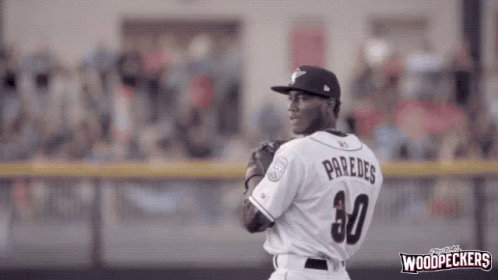Baseball Astros GIF - Baseball Astros Woodpeckers GIFs