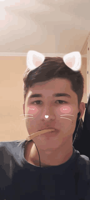a young man with cat ears on his face and a toothpick in his mouth