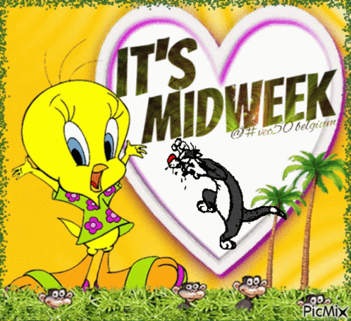Midweek Vec50 GIF - Midweek Vec50 GIFs
