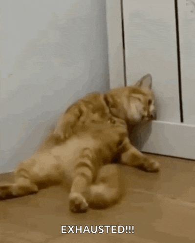 a cat is laying on its back on a wooden floor and says exhausted .