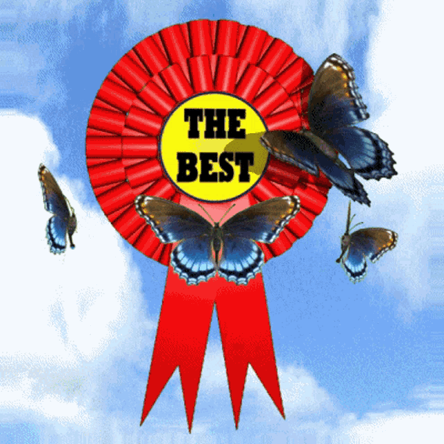 a red ribbon with the words " the best " on it