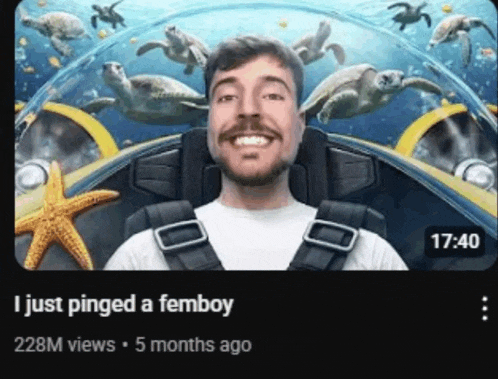 a picture of a man surrounded by sea turtles and a starfish with the caption " just pinged a femboy "