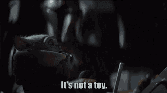 a picture of a baby with the words " it 's not a toy " below it