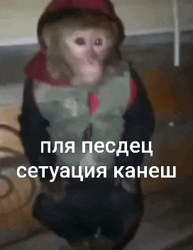 a monkey wearing a jacket and a hat is sitting on a chair with a caption in russian .