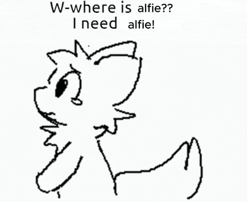 a black and white drawing of a cat with the words w-where is alfie ? i need alfie