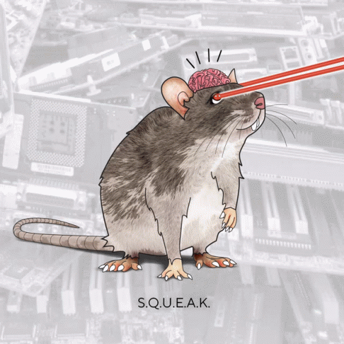 Brain Rat Squeak Rat Kingdom GIF