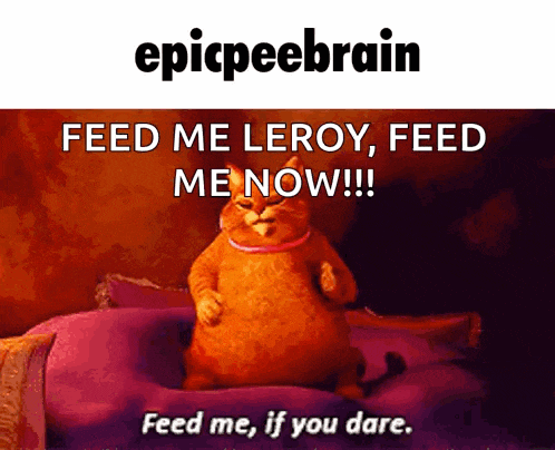a picture of a cat with the words feed me leroy feed me now below it