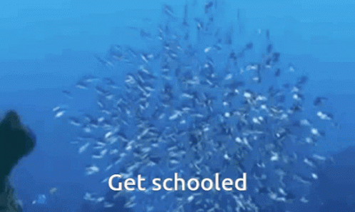 Get Schooled Fish GIF - Get Schooled Fish Its As Shrimple As That GIFs