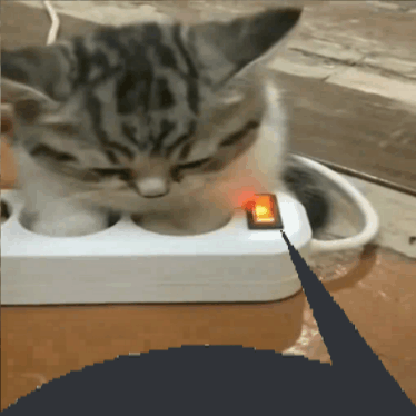 Cat Mini GIF - Cat Mini Cute GIFs