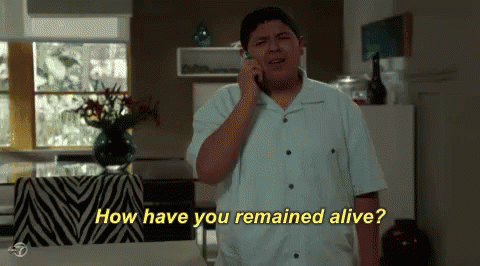 The Real Question GIF - Modern Family Alive How GIFs