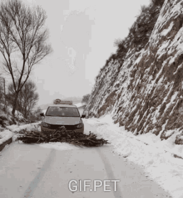 Gifpet Push GIF - Gifpet Push Plow GIFs