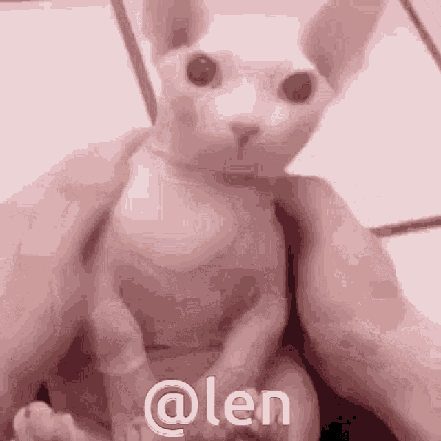 Len GIF - Len GIFs
