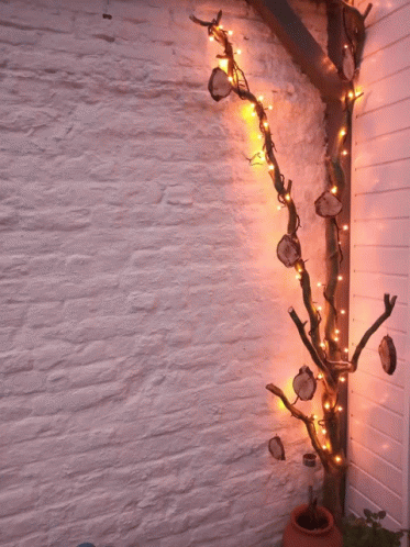 Houten Kerstboom Lichtjes Doen Branden GIF - Houten Kerstboom Lichtjes Doen Branden GIFs