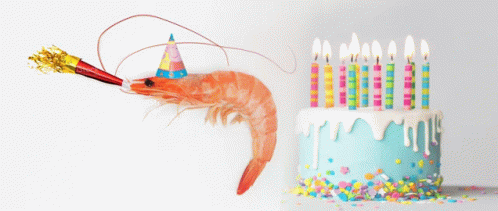 Birthday Shrimp GIF
