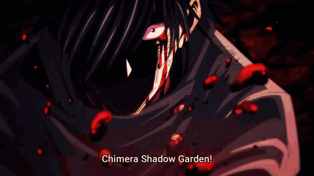 a cartoon character says chimera shadow garden in the corner