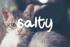 Salty GIF - Salty GIFs