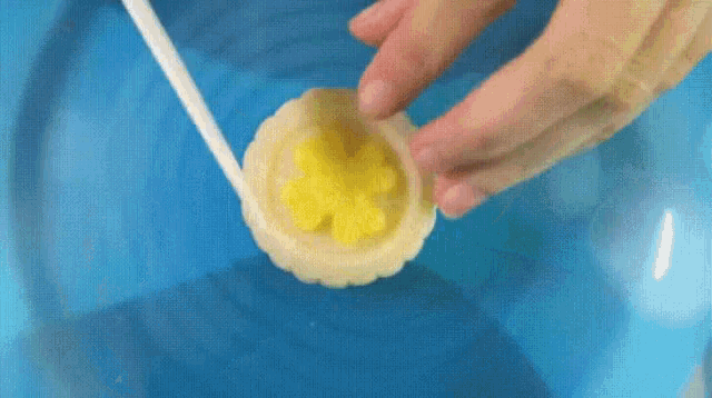 a person is holding a cookie with a yellow flower on it in a blue bowl .