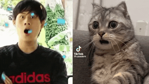 a man wearing an adidas shirt next to a cat with a surprised look on its face
