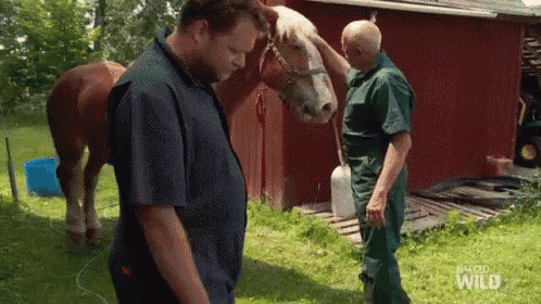 a man is petting a horse while another man holds a bottle of water .