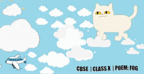 Cloud Cat GIF - Cloud Cat Sky GIFs