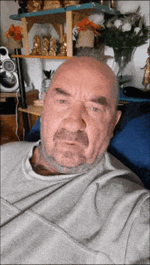 a bald man with a beard is sitting on a blue couch in front of a shelf with statues on it