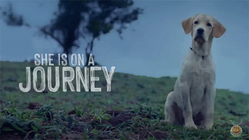 She Is On A Journey 777charlie GIF - She Is On A Journey 777charlie वहयात्रापरहै GIFs