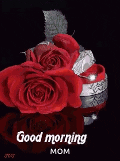 a good morning mom greeting card with a rose in the water .