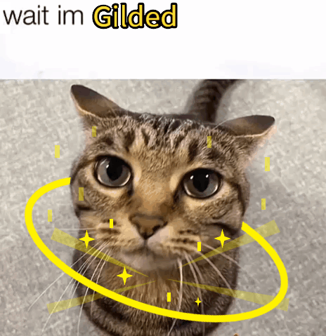 Glided Cat GIF - Glided Cat GIFs