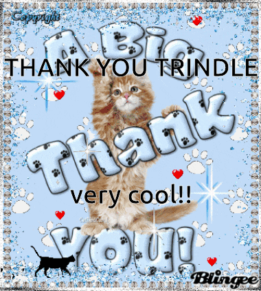 a picture of a cat with the words " a big thank you trindle very cool " on it
