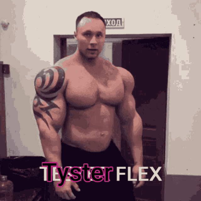 Tyster Flex GIF - Tyster Flex GIFs