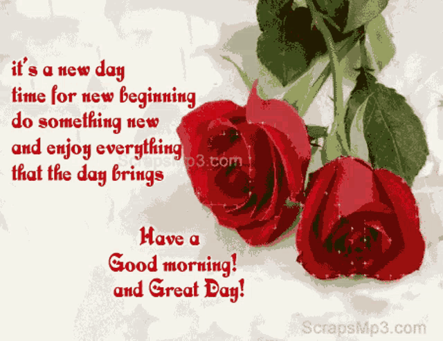 a greeting card with red roses and the words " it 's a new day "