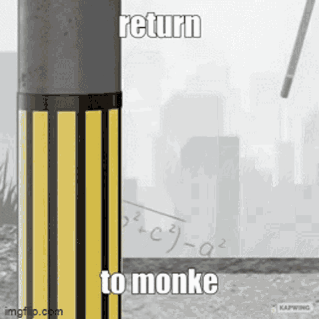 Dr Stone Return To Monke GIF - Dr Stone Return To Monke Monkey GIFs