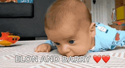 a baby is laying on its stomach with the words elon and barry written above it