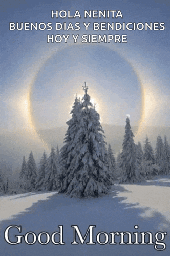 a picture of a snowy forest with the words " hola nenita buenos dias y bendiciones hoy y siempre " at the bottom