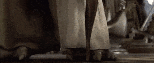 a close up of a person 's feet with a long tail in a dark room .