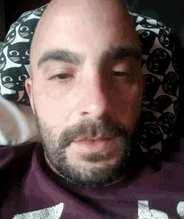 a bald man with a beard wearing a purple shirt and a black and white cat pillow
